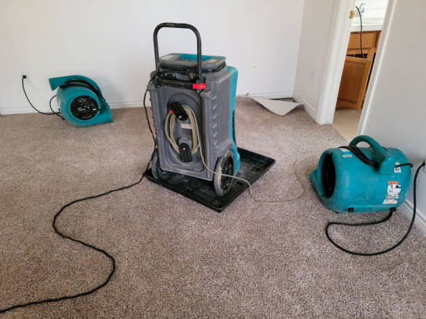  Brookmont, MD Water damage restoration Pros