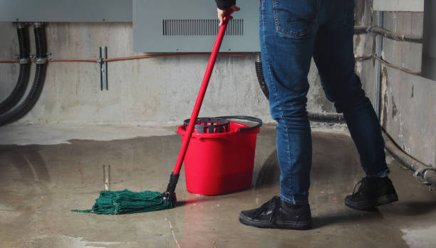  Brookmont, MD Water damage restoration Pros