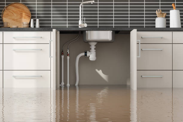Best Flooded house restoration  in Brookmont, MD