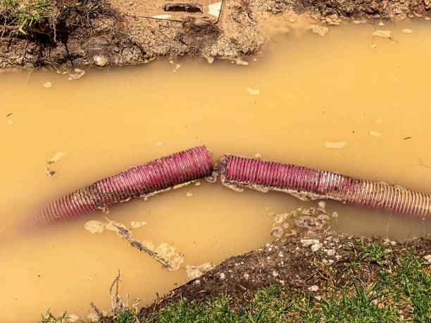 Best Residential water damage restoration  in Brookmont, MD